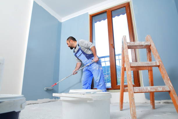 Best Emergency Mold Remediation  in Mount Olive, MS