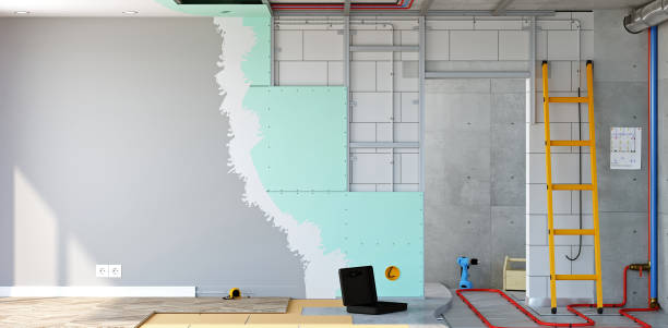 Best Comprehensive Air Testing for Mold Contaminants  in Mount Olive, MS