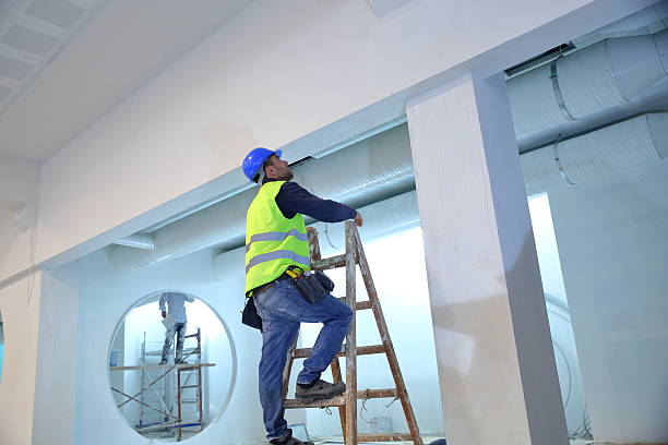Best Post-Construction Mold Inspection  in Mount Olive, MS