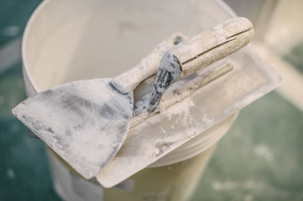 Best Mold Damage Restoration  in Mount Olive, MS