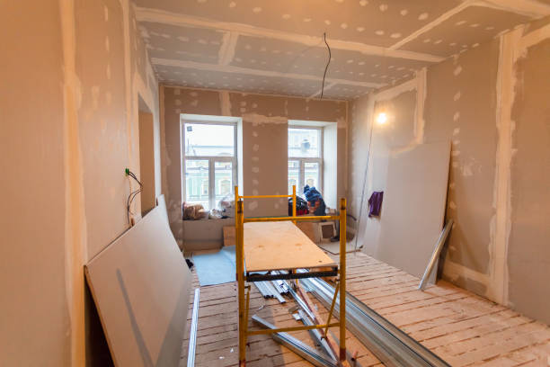 Best Dehumidification Services  in Mount Olive, MS